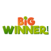 BigWinner Casino