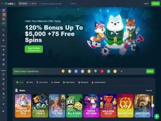 Wild.io_Casino_08.03.2024._HP.jpg