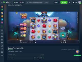 Wild.io_Casino_04.12.2025._Game2.jpg