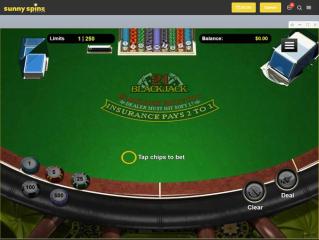 Sunny_Spins_Casino_Game_3.jpg