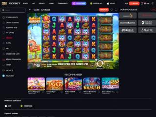 Dicebet_Casino_30.12.2024._Game1.jpg