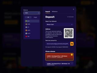 Raze_Casino_05062024_Bank.jpg