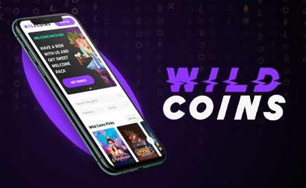 Welcoming Crypto-Oriented WildCoins Casino