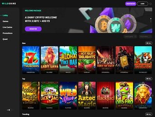 WildCoins_Casino_hp.jpg